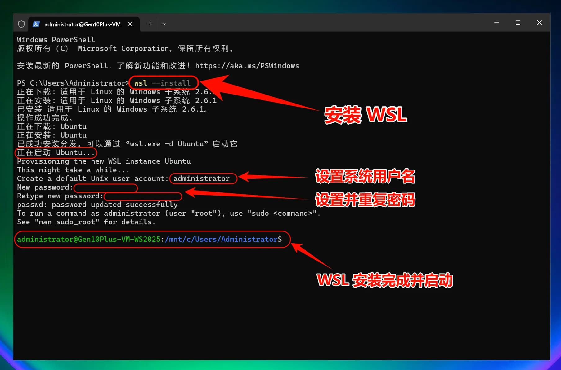 windows-img-03.webp